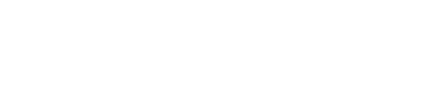 Skyblooh logo
